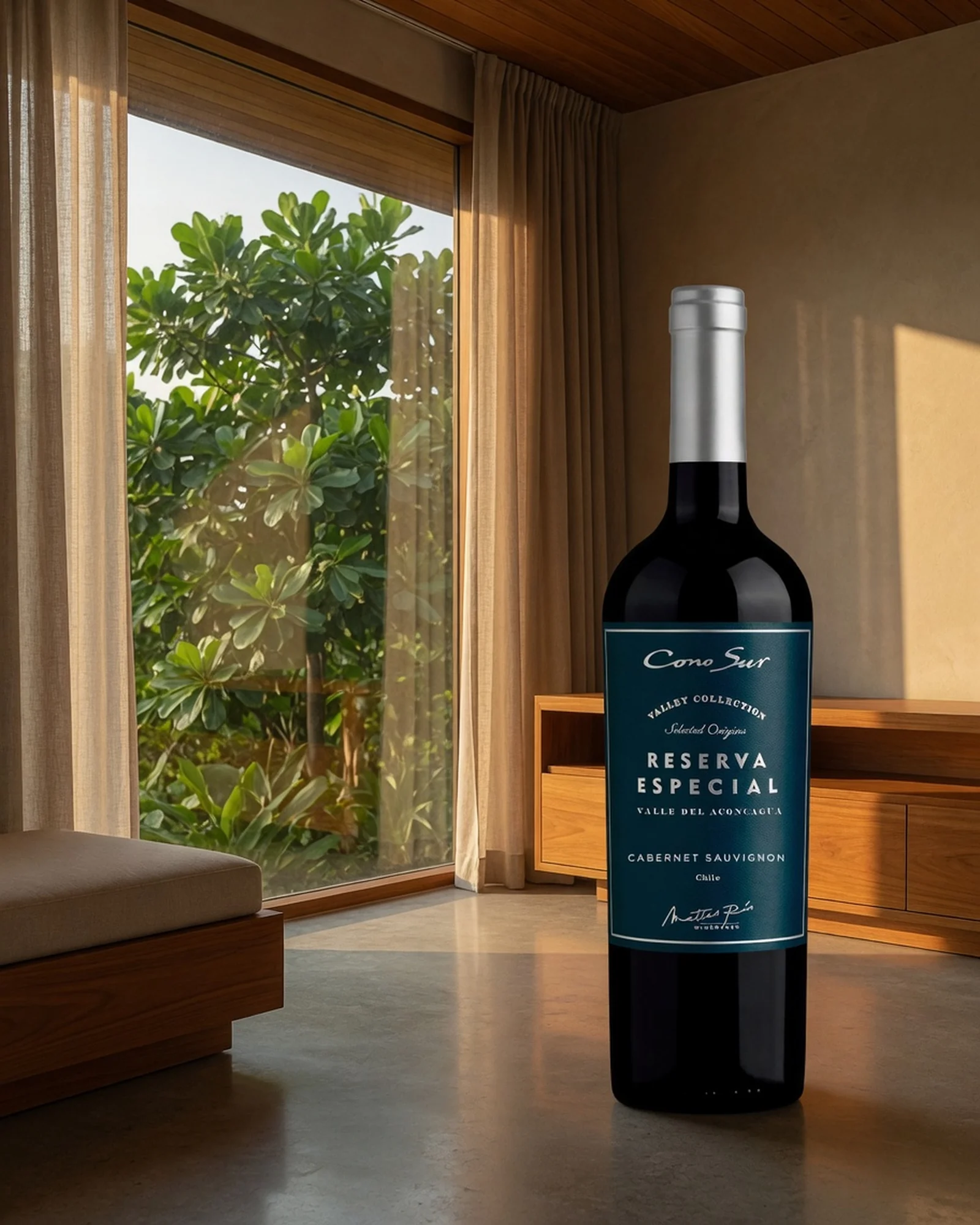 Cono Sur Reserva Cabernet Sauvignon 2020 — резервный каберне совиньон Cono Sur урожая 2020 года