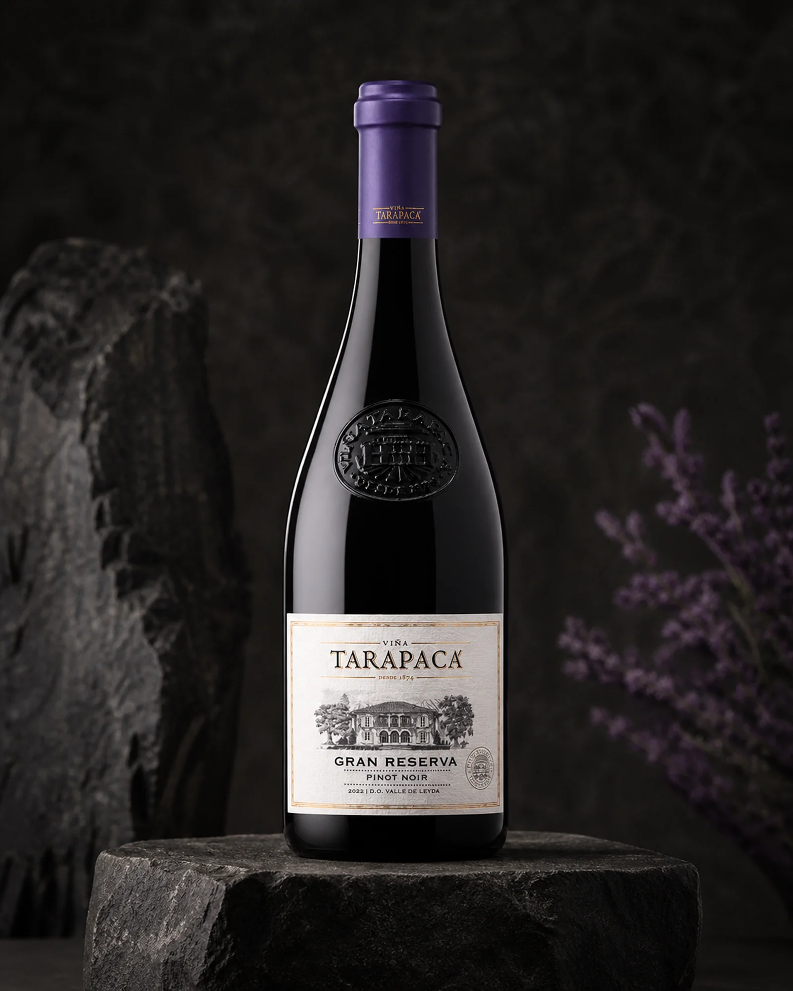 Viña Tarapacá Gran Reserva Pinot Noir 2022 — чилийский пино нуар гран резерва, урожай 2022