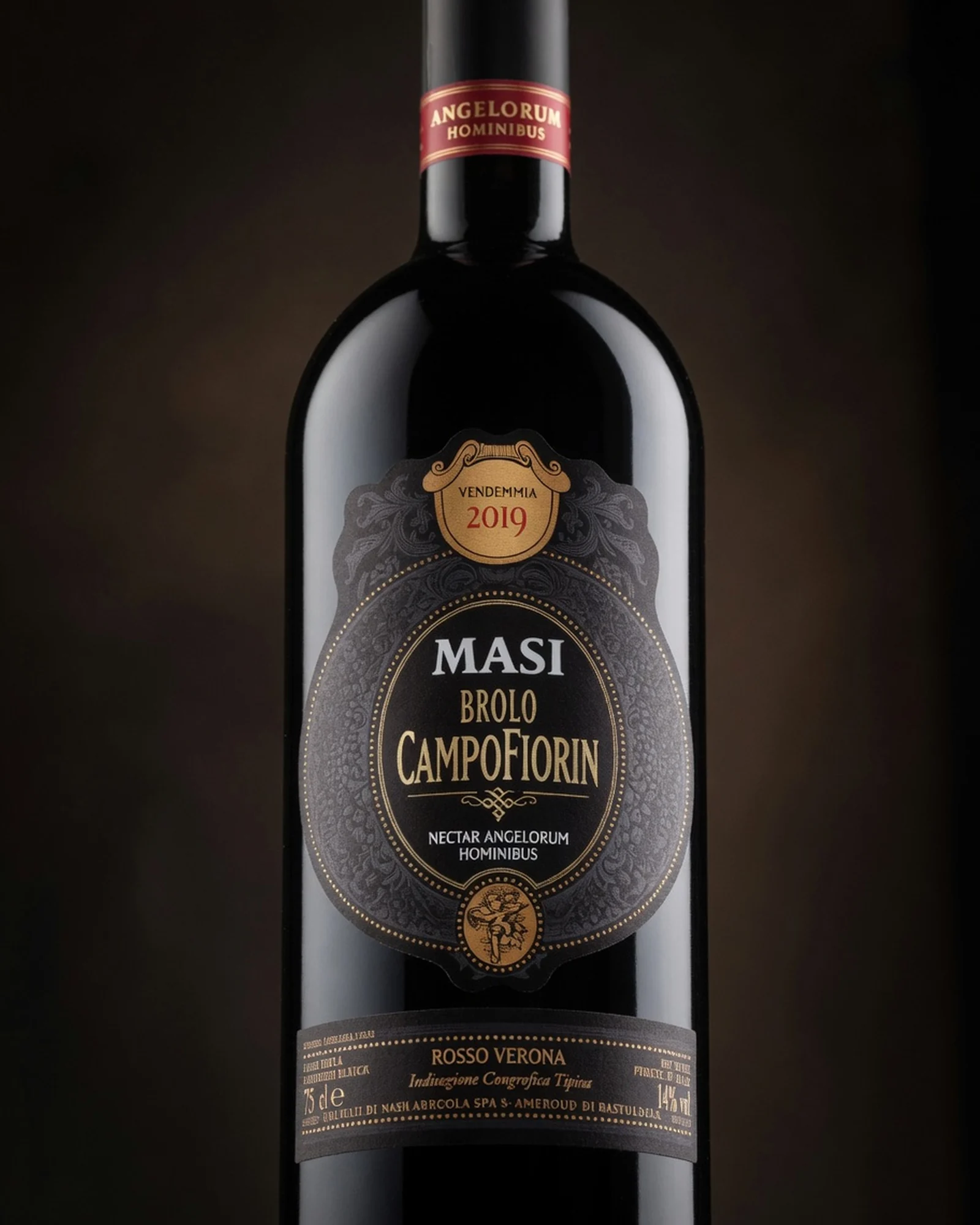 Masi Brolo Campofiorin IGT 2019 — красное Verona IGT урожая 2019, кюве линейки Campofiorin